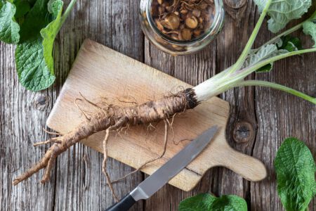 Burdock Root for Food and Medicine image